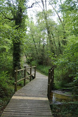 Aménagement en forêt