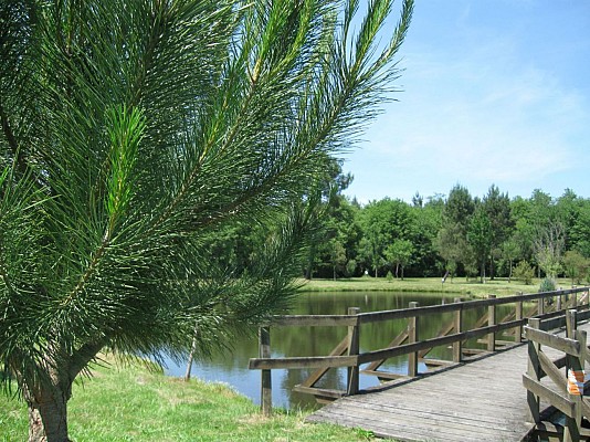 Etang