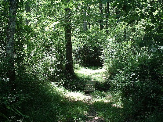 Chemin