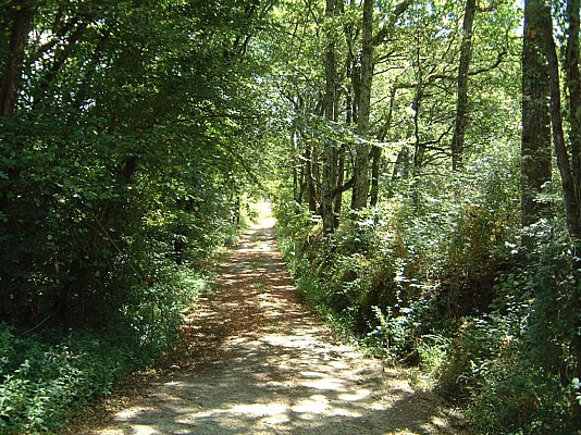 Chemin 