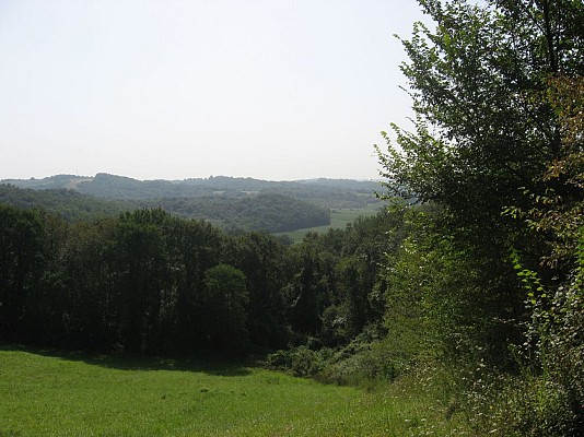 Panorama