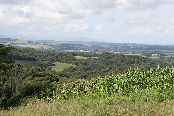 Panorama