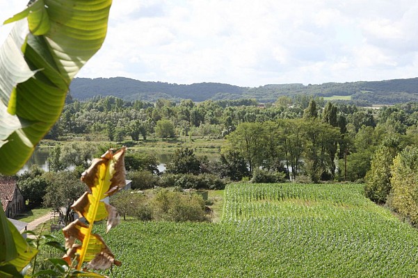 Panorama