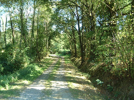 Chemin