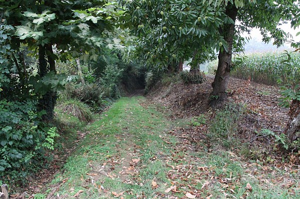 Chemin