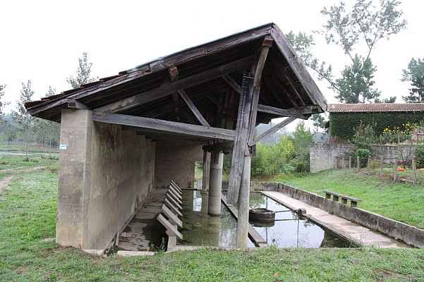 Lavoir à Gousse