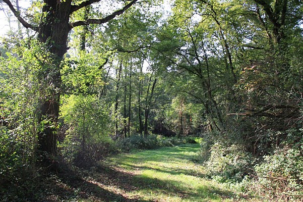 Chemin de Mounicq