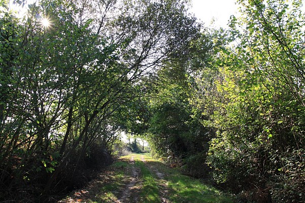 Voûte naturelle