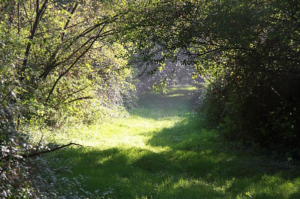 Chemin de Lamarque