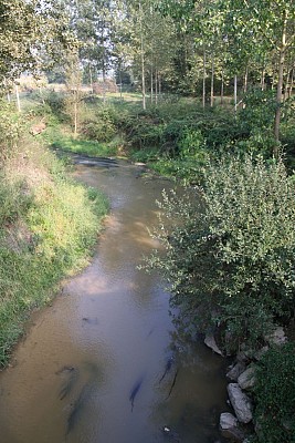 Le Louts