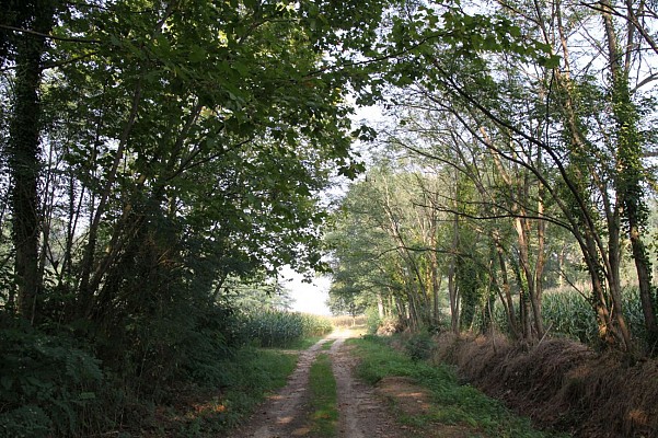 Voûte