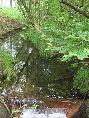 Ruisseau du Bez