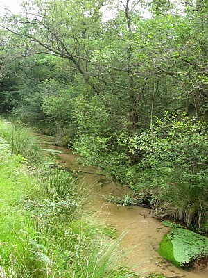 Ruisseau de Coulin