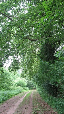 Chemin