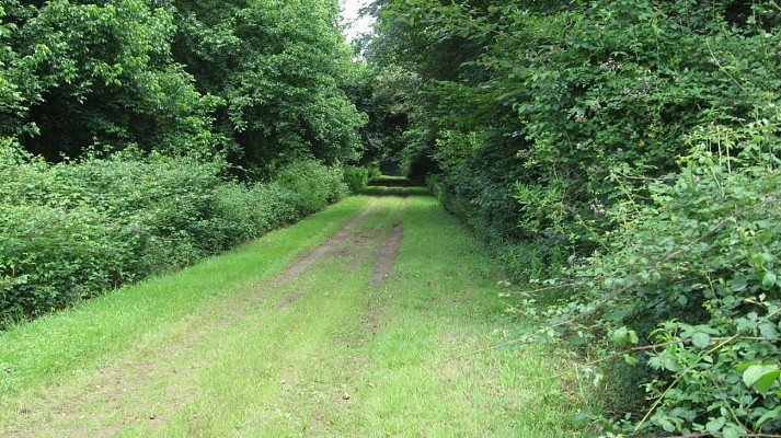 Chemin de halage de la Midouze