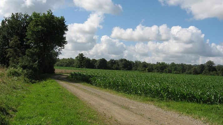 Plaine de l'Adour