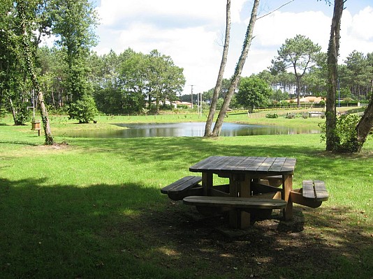 Etang