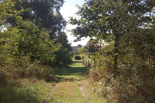 Chemin