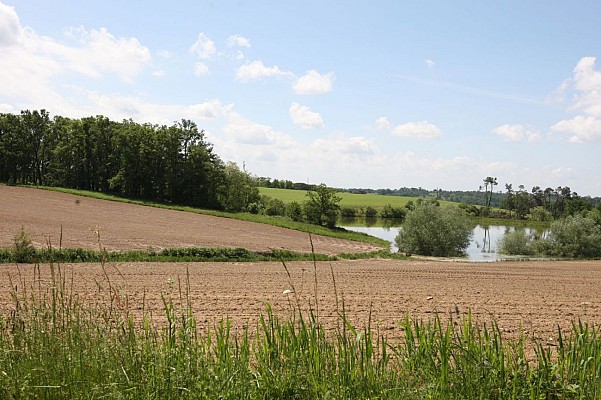 Paysage chalossais