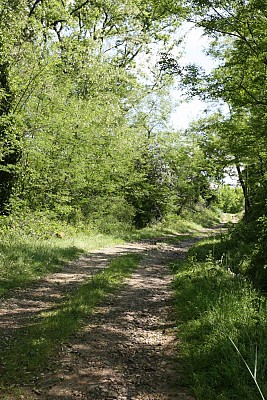 Chemin d'Artigole