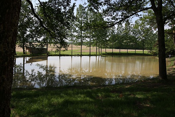 Etang de la Hosse