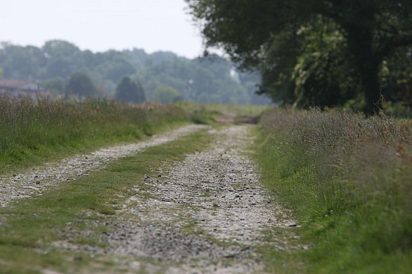 Chemin