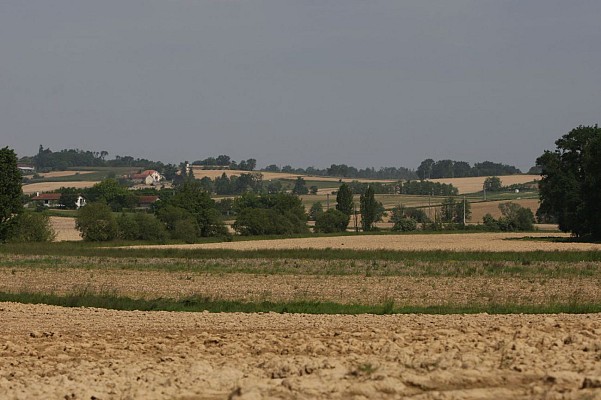Paysages