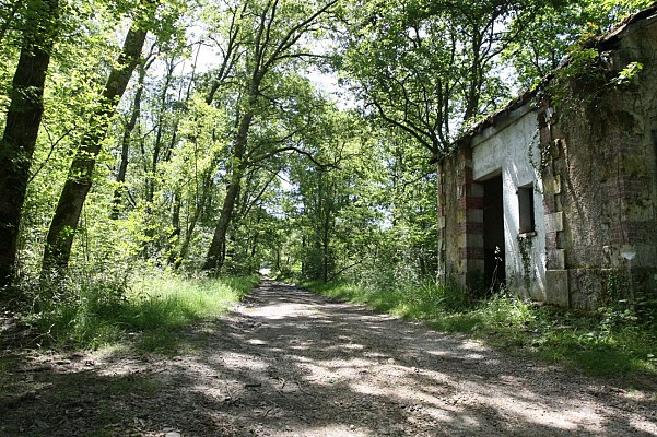 Chemin
