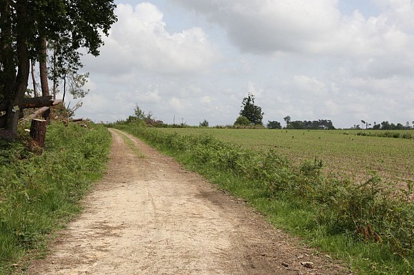 Chemin