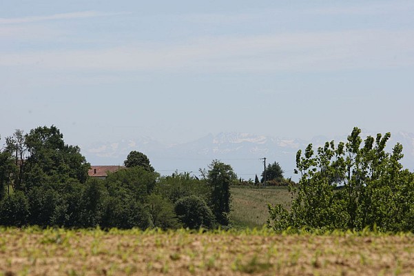 Paysage chalossais