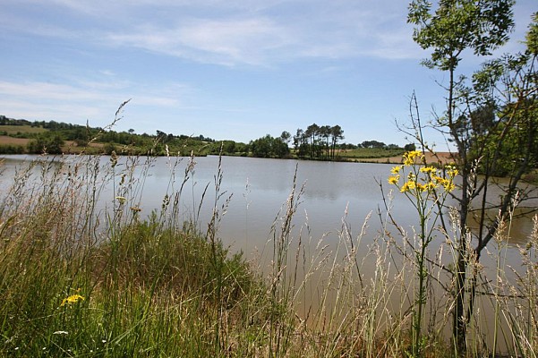 Landes de Herrères