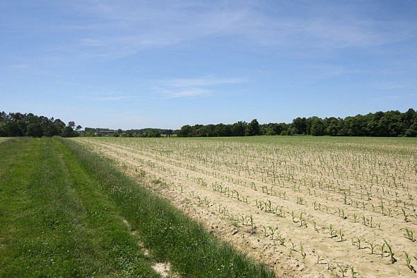 Paysage chalossais