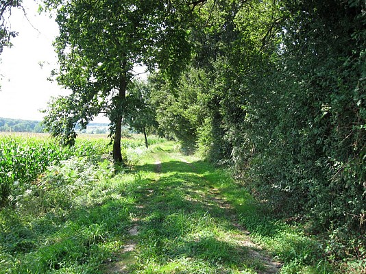 Chemin Henri IV