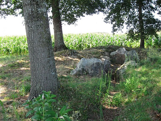 Peyre de Pithié