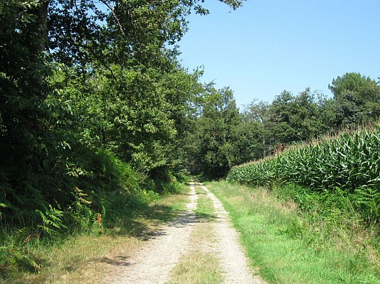 Chemin