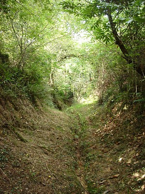 Chemin