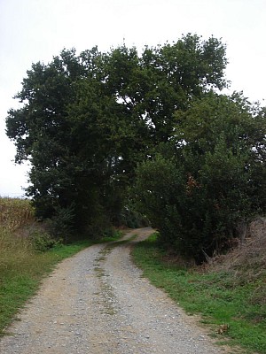 Chemin