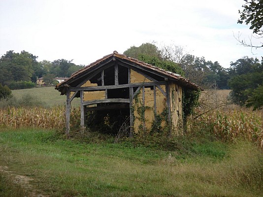 Paysage