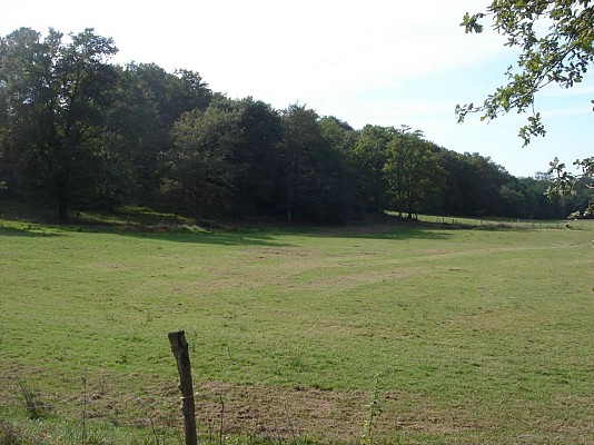 Vers le Moulin d'Arripot