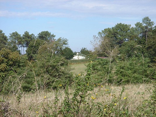 Depuis le Bouqué