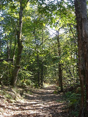 Chemin