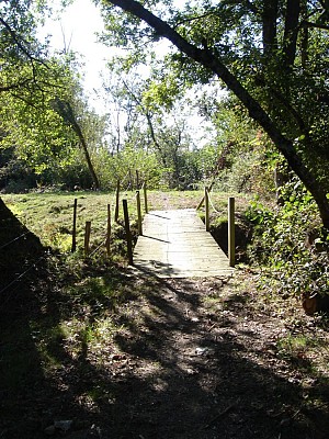 Chemin