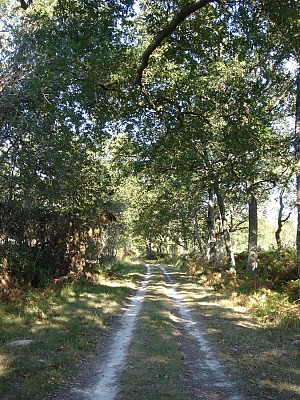 Chemin de Bedouts