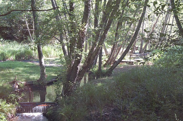Ruisseau de Nauton