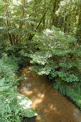 Ruisseau le Launet