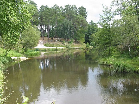 Etang de Mouneyres