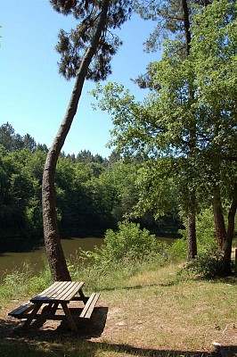 Etang de Mouneyres