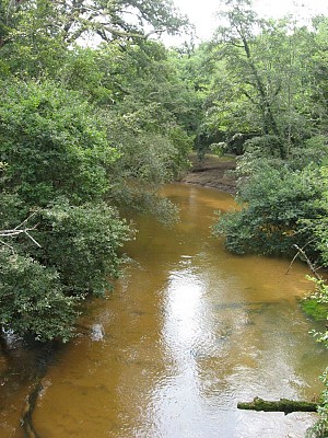 La Grande Leyre