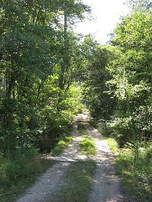 Chemin
