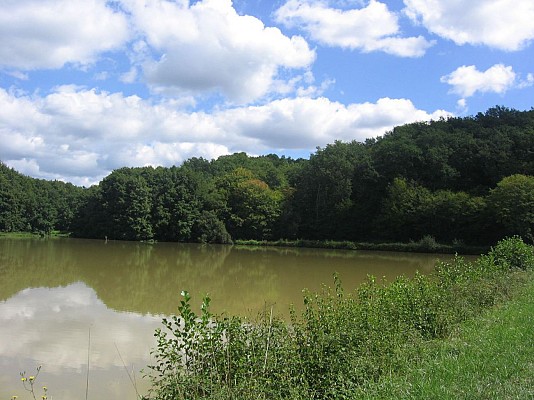 Etang